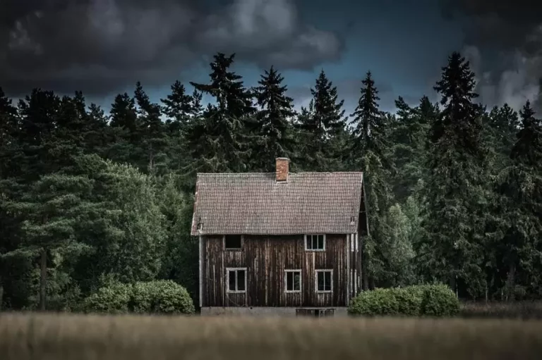 45337f22-b886-45a5-926a-dc3382a8f147-spooky-abandoned-homes-countryside-cabin-sweden